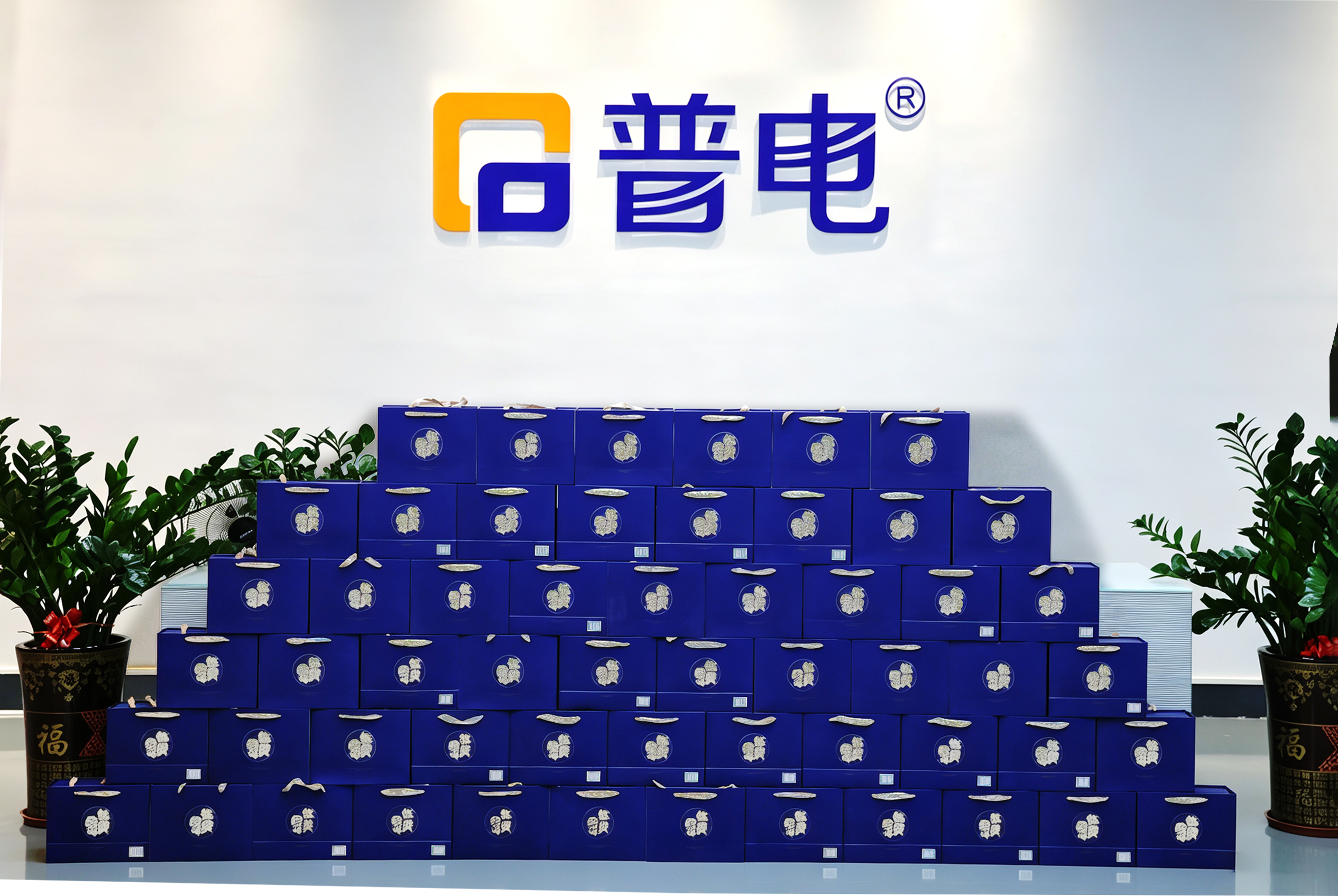 Guangdong Pudian Automation Technology Co., Ltd.